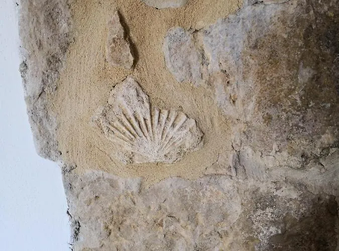 Il Montedoro Guardistallo