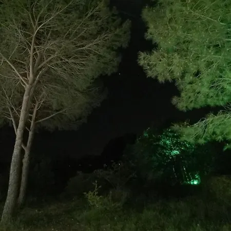 Il Montedoro *
